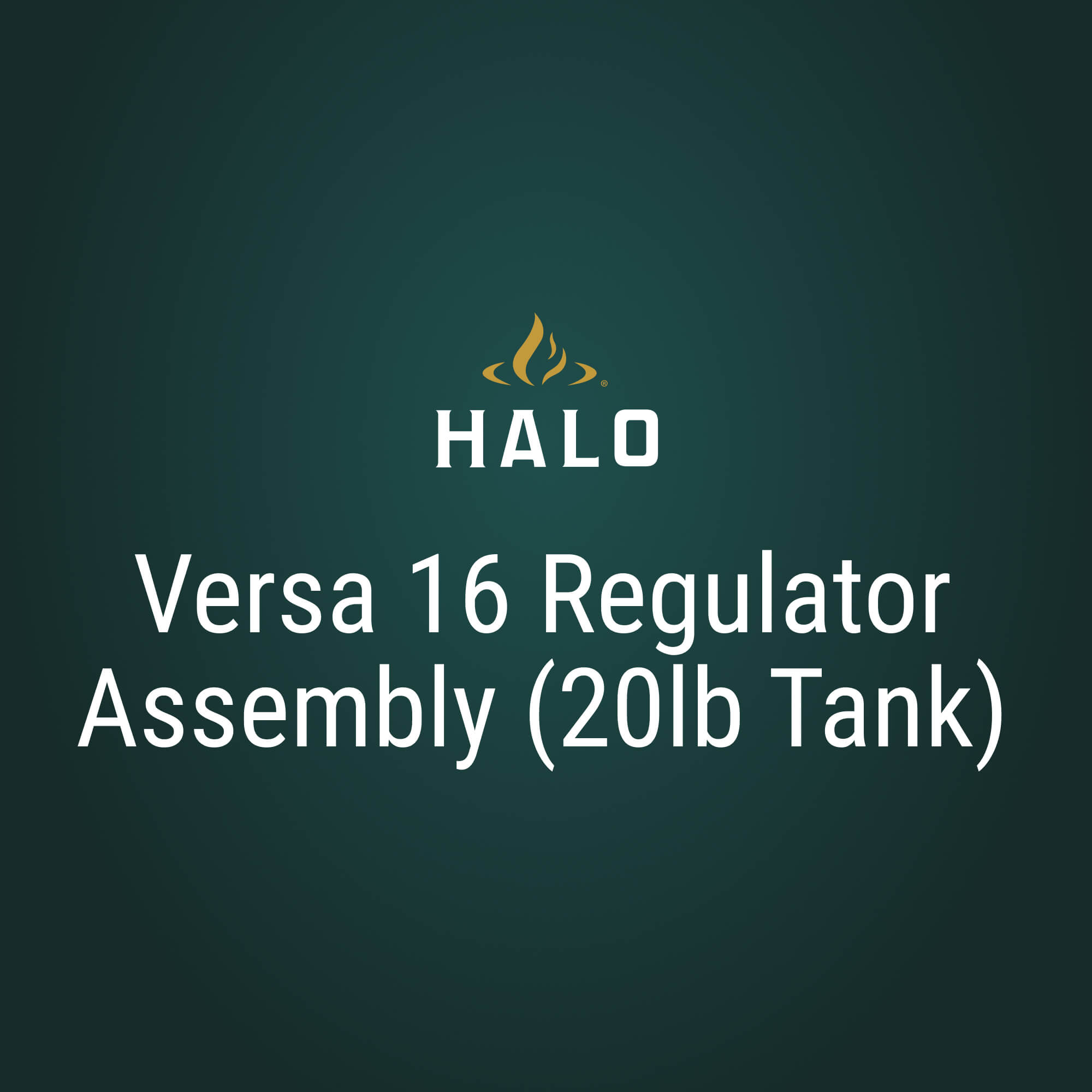 Versa 16 Regulator Assembly